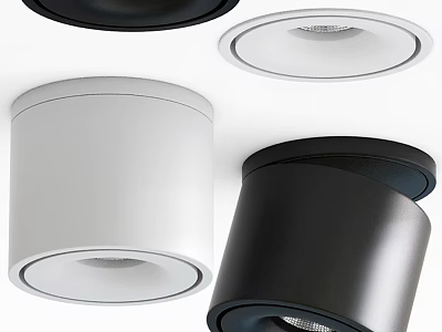 Modern Black And White Downlights And Spotlights For Home Lighting Design 3d model