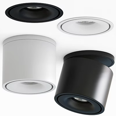 Modern Black And White Downlights And Spotlights For Home Lighting Design 3d model
