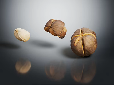 Three Nuts In Different States With Gray Background And Reflections 3d model
