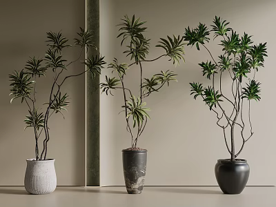 Stylish Indoor Plants in Decorative Pots on Table for Home Decor 3d model