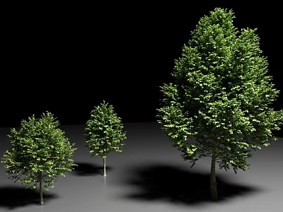 Arbor with Green Leaves in Different Sizes Against Black Background and Gray Ground 3d model