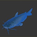 catfish catfish catfish beard catfish beard catfish egyptian beard catfish freshwater fish marine fish 3d model