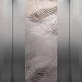 Modern Elevator Door with Palm Leaf Pattern and Stainless Steel Frame