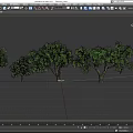 Arbor Trees in Various Sizes Displaying Green Foliage and Natural Trunks 3d model