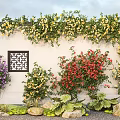 Colorful Plant Combination with Yellow Purple Red Vines on White Wall Black Panel and Stones