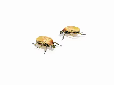 Two Golden Reptiles With Shiny Bodies Crawling On White Background 3d model