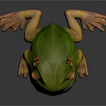 Green Frog Sculpture With Yellow Eyes Red Flowers On Back And Orange Limbs