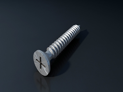 Modern Screw Hardware Phillips Screw 3d model