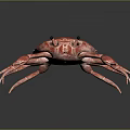 Vibrant Red Crab Aquatic Animal With Detailed Texture And Lifelike Appearance