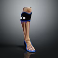 Anatomical Leg Organ Structure with Hair and Black Protective Gear Blue Trim