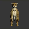 Realistic 3D Cheetah Model With Spotted Fur Standing On Dark Surface 3d model