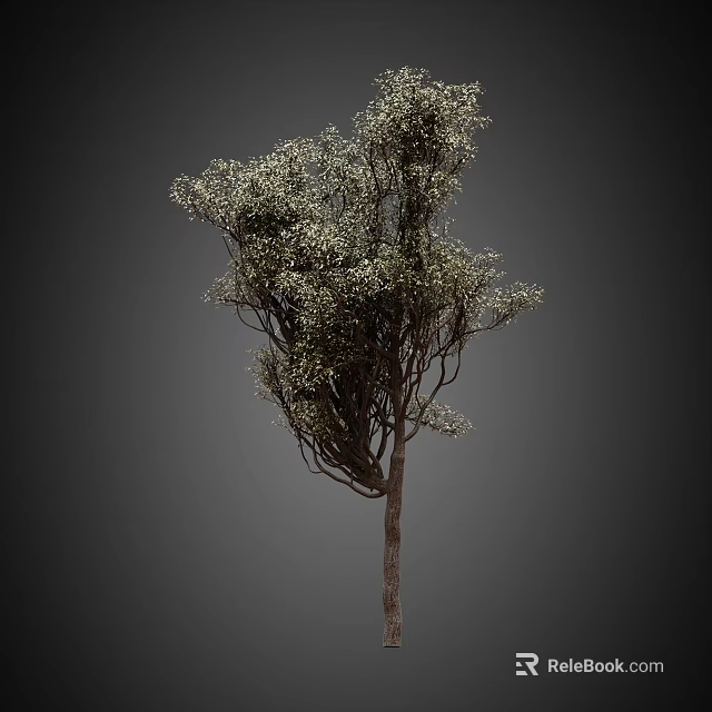 Lush Green Arbor with Dense Foliage and Twisted Branches in Natural Environment 3d model 