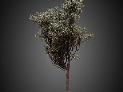 Lush Green Arbor with Dense Foliage and Twisted Branches in Natural Environment 3d model