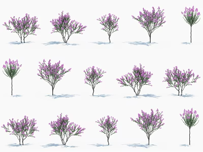 Various Purple Flowering Trees in Different Shapes Sizes and Growth Stages 3d model