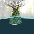 Lush Green Plant Decor On White Round Stand In Forest Setting