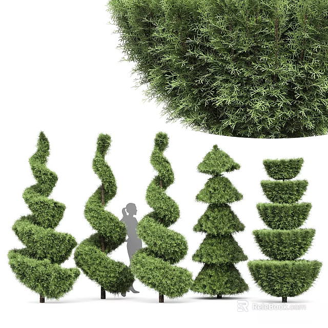 Creative Decorative Plant Arrangements With Spiral Tiered And Layered Greenery Shapes 3d model 