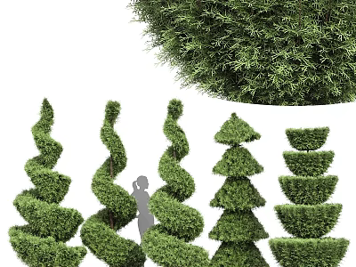 Creative Decorative Plant Arrangements With Spiral Tiered And Layered Greenery Shapes 3d model