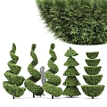 Creative Decorative Plant Arrangements With Spiral Tiered And Layered Greenery Shapes