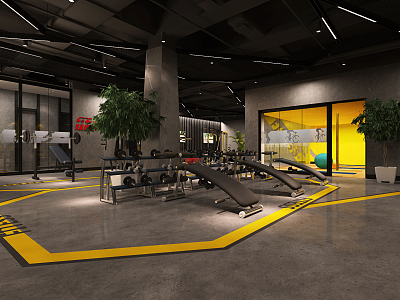 INDUSTRIAL LOFT GYM model