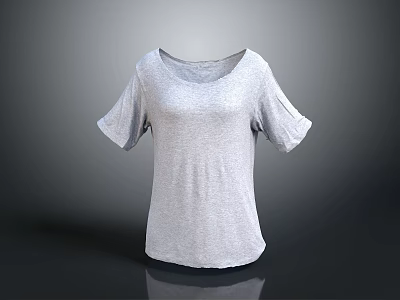 Gray Short Sleeve Round Neck Loose Fit Basic T-shirt for Casual Wear 3d model