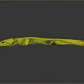 Vibrant Green Lizard Skeleton Art Model With Realistic Bone Structure And Polished Texture 3d model