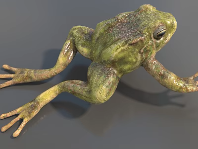 Green Reptile With Textured Skin And Extended Limbs On Gray Surface 3d model