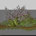 Vibrant Flower And Plant Arrangement With Orange Purple Blooms Green Foliage And Silver White Branches