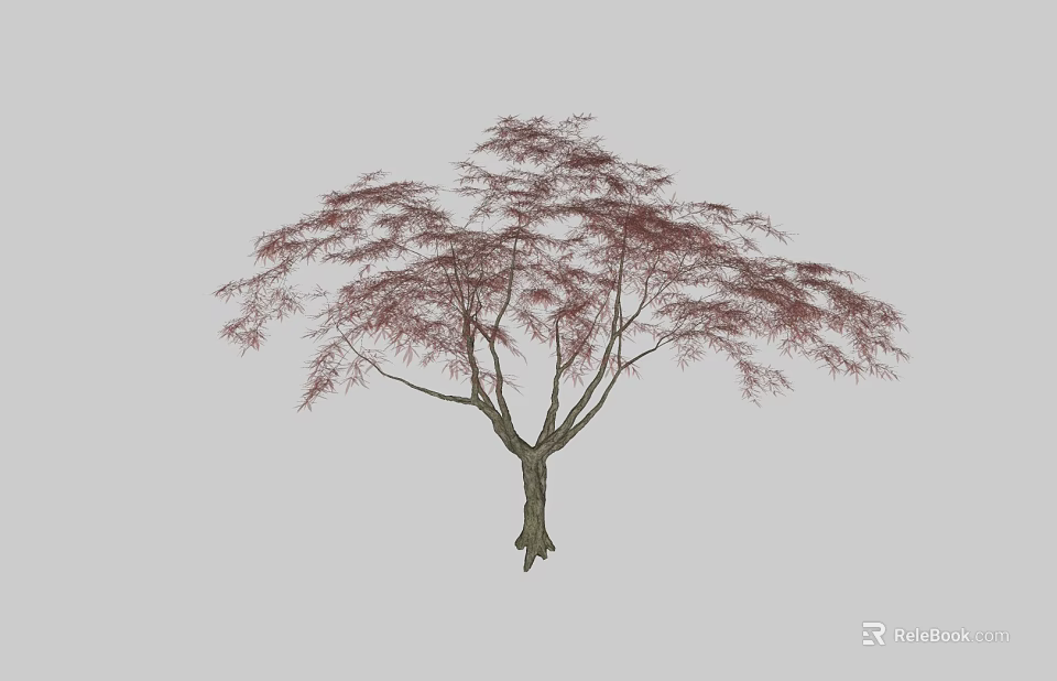 Arbor With Red Leaves Brown Trunk And Spreading Branches Graceful Shape 3d model 