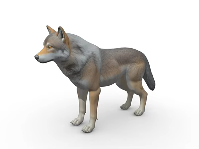 Realistic 3D Model of a Standing Grayish Brown Wolf with Detailed Fur 3d model