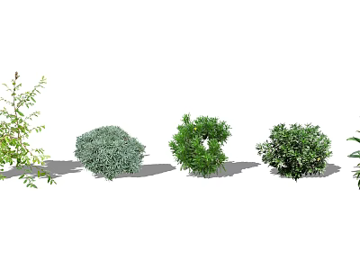 Diverse Ground Cover Plants Enhance Garden Landscape And Outdoor Design 3d model