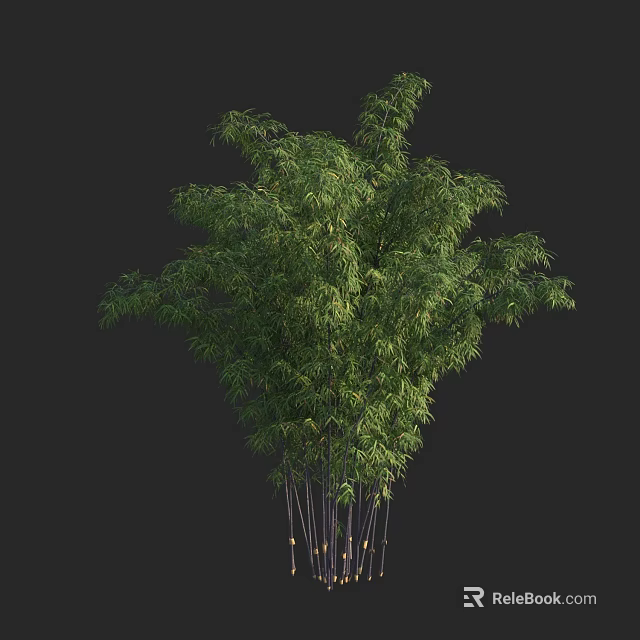 Lush Green Bamboo Plant with Slender Stems and Graceful Foliage 3d model 