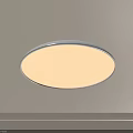 Round Modern White Ceiling Light Fixture for Home Interior Lighting 3d model