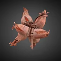 Dried Hazelnut Shell With Split Sections And Natural Brown Texture 3d model