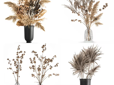 Dried Flowers Arrangement in Black and Clear Vases for Home Decor with Natural Tones 3d model