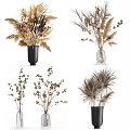 Dried Flowers Arrangement in Black and Clear Vases for Home Decor with Natural Tones