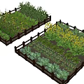 Different Types Of Vegetables And Crops Growing In Wooden Fenced Garden Beds