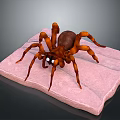 Brown Spider With Eight Legs Large Body And Prominent Eyes On Pink Textured Surface