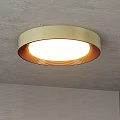 Modern Minimalist Round Flush Mount Ceiling Light With Gold Frame Orange Ring And White Lampshade 3d model