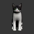 Black and white cat with green eyes in standing pose on dark reflective surface