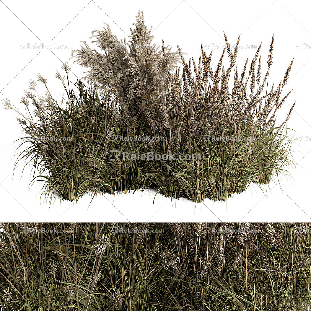 Modern Grass Grass Shrub Plant Heap 3d model