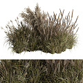 Modern Grass Grass Shrub Plant Heap 3d model