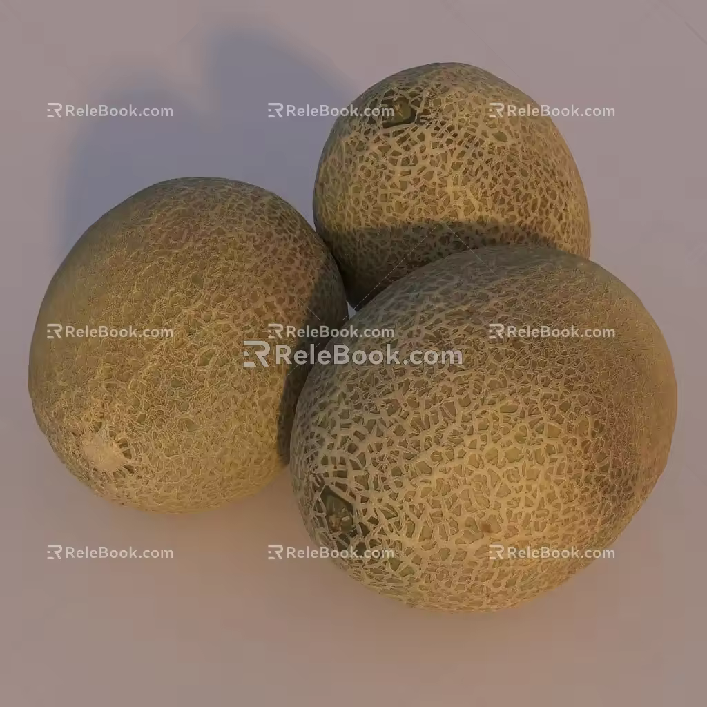 Hami Melon 3d model