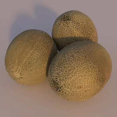 Three Fresh Juicy Cantaloupe Melons With Netted Skin On White Background 3d model Three Fresh Juicy Cantaloupe Melons With Netted Skin On White Background 3d model