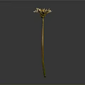 Dandelion Plant With Yellow Flower And Slender Green Stem Against Gray Background