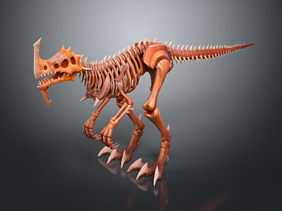 Medical Skeleton Model For Anatomical Education And Medical Training Use 3d model