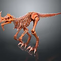 Medical Skeleton Model For Anatomical Education And Medical Training Use