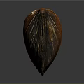 Detailed Brown Shell Structure Resembling Organ With Hair Like Texture Features