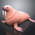 Walrus With Tusks And Pink Skin Lying On Smooth Surface Showing Reflection