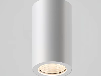 Silver Cylindrical Downlight Spotlight With Sleek Surface For Modern Home Lighting 3d model