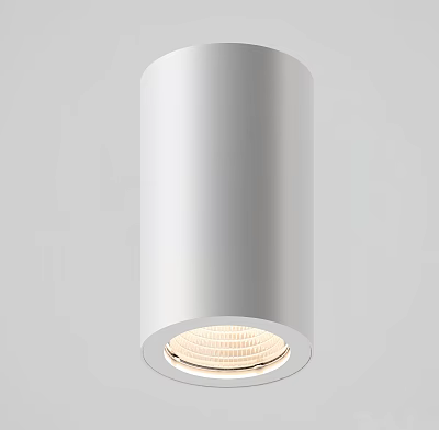 Silver Cylindrical Downlight Spotlight With Sleek Surface For Modern Home Lighting 3d model